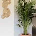 Apartament Lawendowy Raj *