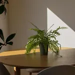 Apartament Lawendowy Raj Pilchowice