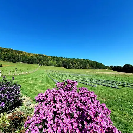 Apartment Lawendowy Raj Pilchowice