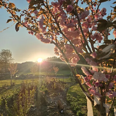 Lawendowy Raj * Pilchowice