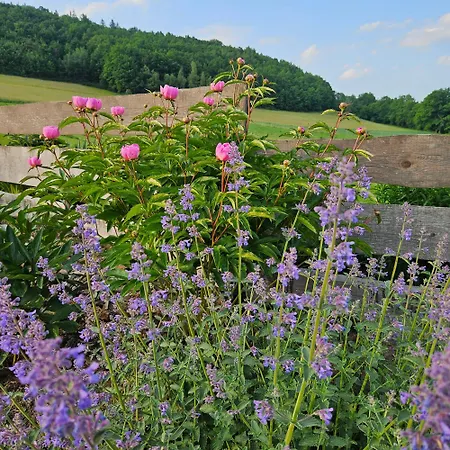 Lawendowy Raj Apartment *