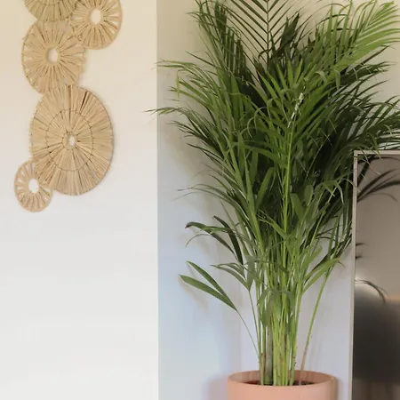 Apartment Lawendowy Raj *