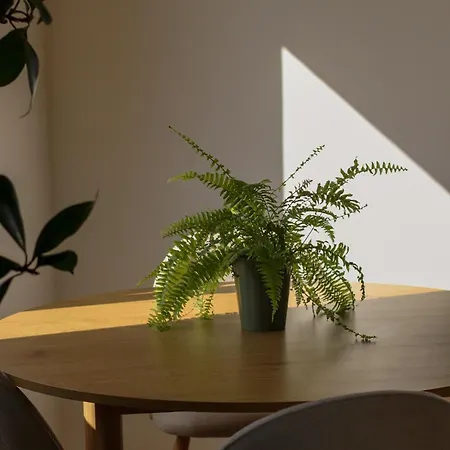 Apartment Lawendowy Raj Pilchowice