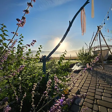 Apartment Lawendowy Raj