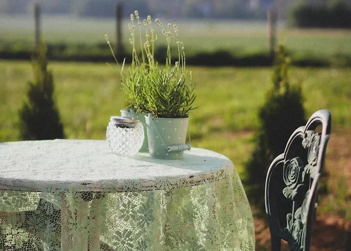 Apartment Lawendowy Raj Pilchowice