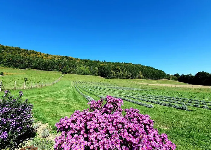 Lejlighed Lawendowy Raj Pilchowice