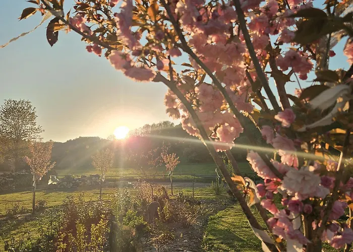 Lawendowy Raj * Pilchowice