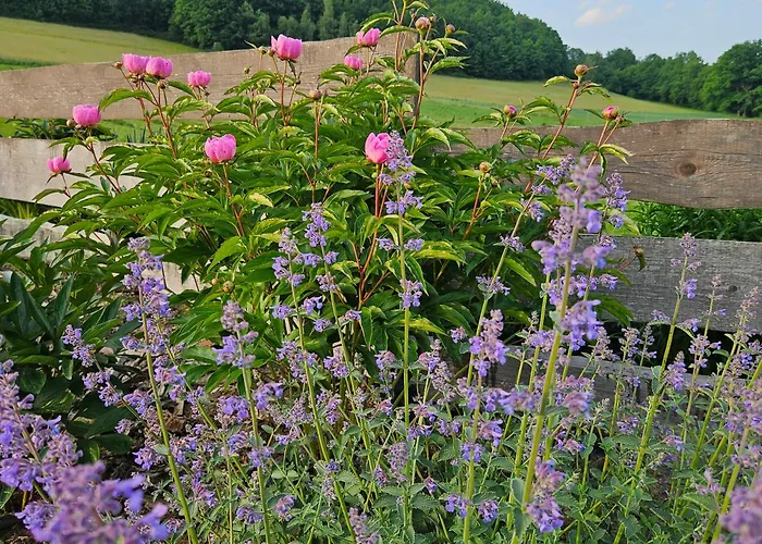 Lawendowy Raj Apartment *