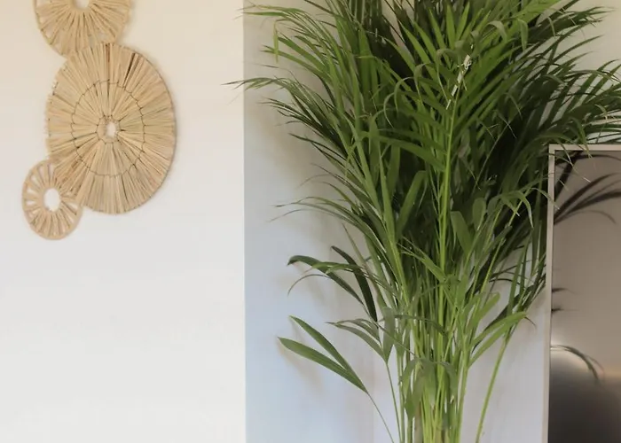 Apartment Lawendowy Raj *