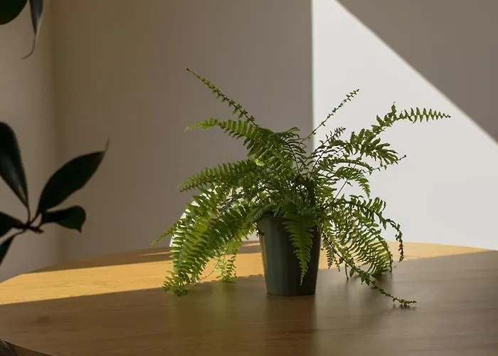 Apartment Lawendowy Raj Pilchowice