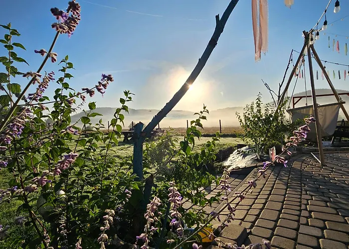 Apartment Lawendowy Raj